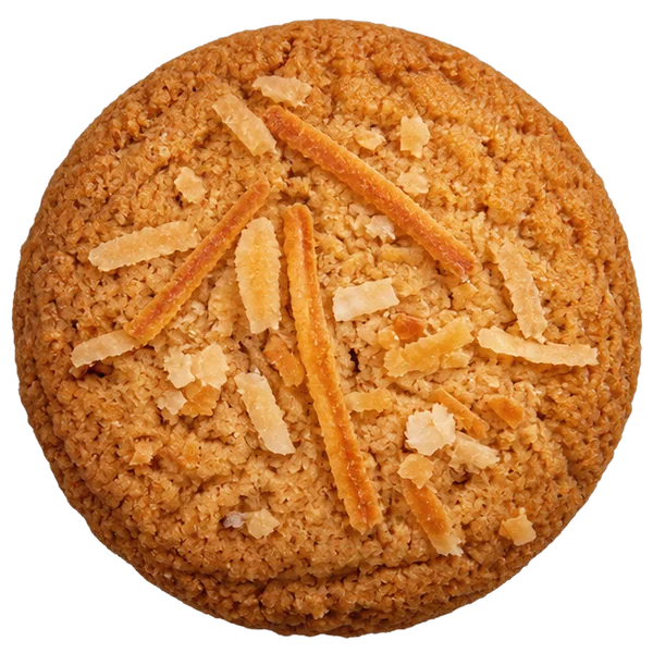 RETROH Coconut Crunch cookie